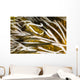 Clingfish Crinoid Australia Wall Decal
