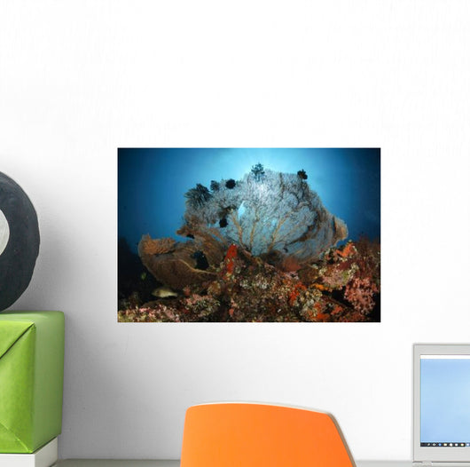 Sea Fan Liberty Wreck Wall Decal
