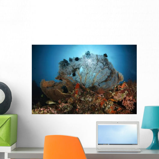 Sea Fan Liberty Wreck Wall Decal