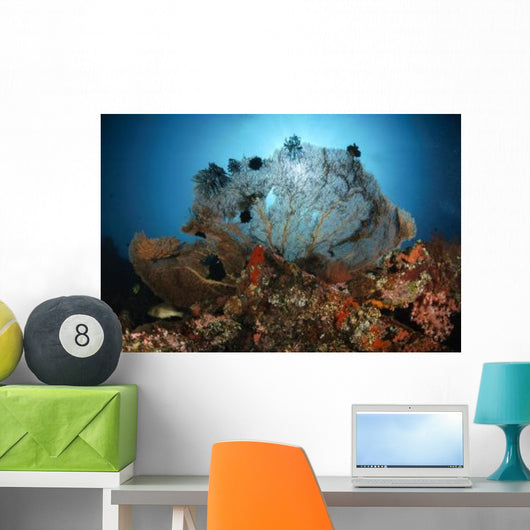 Sea Fan Liberty Wreck Wall Decal