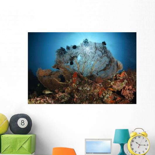 Sea Fan Liberty Wreck Wall Decal
