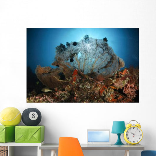 Sea Fan Liberty Wreck Wall Decal