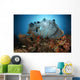 Sea Fan Liberty Wreck Wall Decal