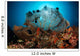 Sea Fan Liberty Wreck Wall Decal