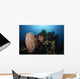 Barrel Sponge Liberty Wreck Wall Decal