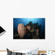 Barrel Sponge Liberty Wreck Wall Decal