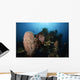 Barrel Sponge Liberty Wreck Wall Decal