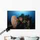 Barrel Sponge Liberty Wreck Wall Decal