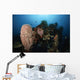 Barrel Sponge Liberty Wreck Wall Decal