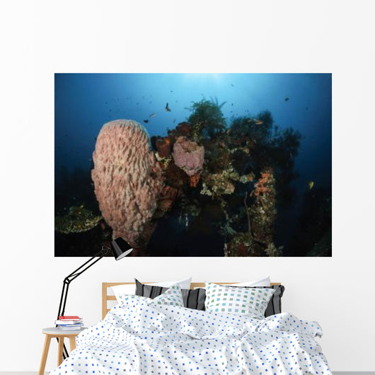 Barrel Sponge Liberty Wreck Wall Decal