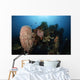 Barrel Sponge Liberty Wreck Wall Decal