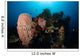 Barrel Sponge Liberty Wreck Wall Decal