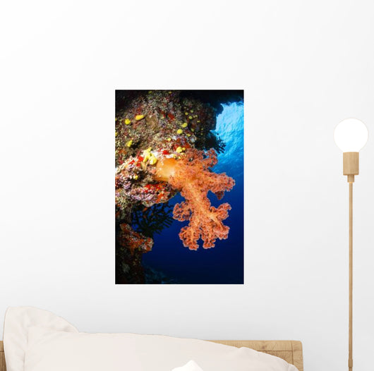Soft Coral Seascape Fiji Wall Decal Design 5