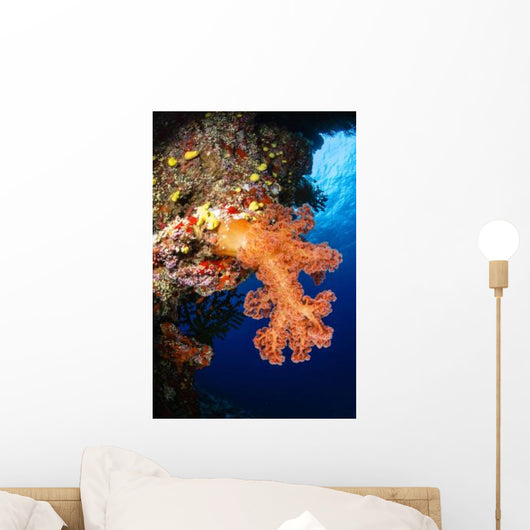 Soft Coral Seascape Fiji Wall Decal Design 5