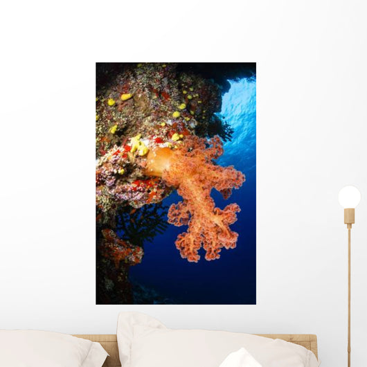 Soft Coral Seascape Fiji Wall Decal Design 5