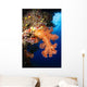 Soft Coral Seascape Fiji Wall Decal Design 5