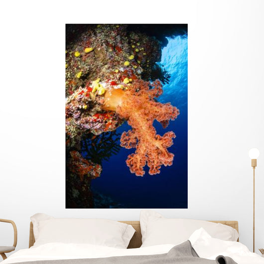 Soft Coral Seascape Fiji Wall Decal Design 5