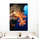 Soft Coral Seascape Fiji Wall Decal Design 5