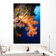 Soft Coral Seascape Fiji Wall Decal Design 5