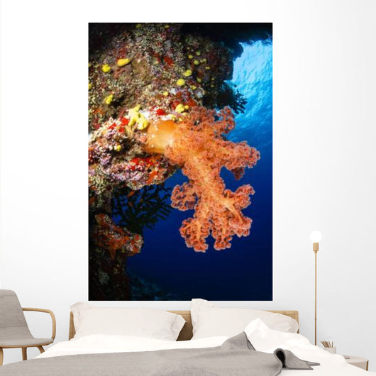 Soft Coral Seascape Fiji Wall Decal Design 5