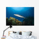 Great Barracuda Belize Wall Decal Design 2