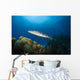 Great Barracuda Belize Wall Decal Design 2