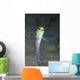 Yellowhead Jawfish Belize Wall Decal