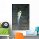 Yellowhead Jawfish Belize Wall Decal