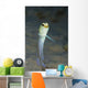 Yellowhead Jawfish Belize Wall Decal