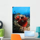 Diver and Magnificent Anemone Wall Decal Design 1