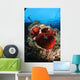 Diver and Magnificent Anemone Wall Decal Design 1