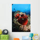 Diver and Magnificent Anemone Wall Decal Design 1