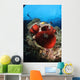 Diver and Magnificent Anemone Wall Decal Design 1