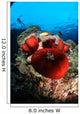 Diver and Magnificent Anemone Wall Decal Design 1