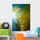 Giant Kelp Catalina Island Wall Decal