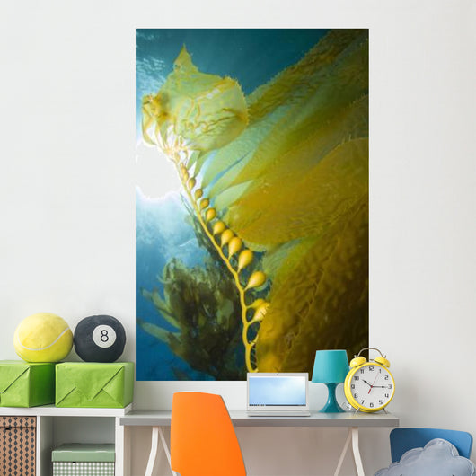 Giant Kelp Catalina Island Wall Decal