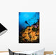 Diver and Soft Coral Wall Decal Design 2