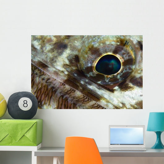 Extreme Close-up Lizardfish Eyeball Wall Decal