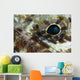 Extreme Close-up Lizardfish Eyeball Wall Decal