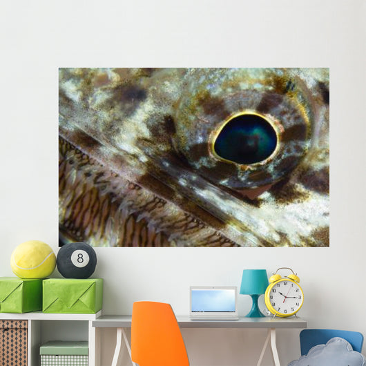 Extreme Close-up Lizardfish Eyeball Wall Decal