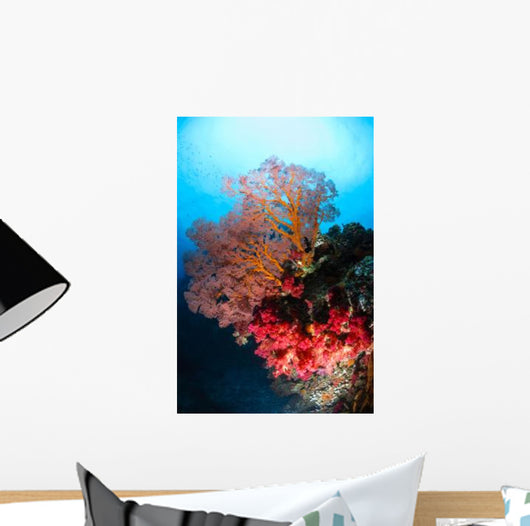 Soft Coral and Sea Wall Decal Design 2