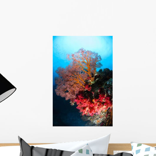 Soft Coral and Sea Wall Decal Design 2