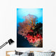 Soft Coral and Sea Wall Decal Design 2