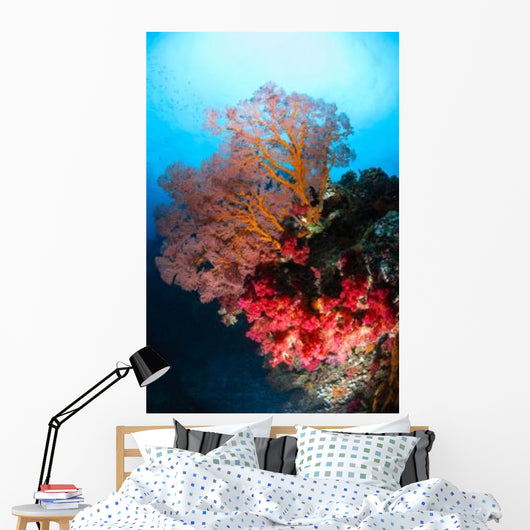 Soft Coral and Sea Wall Decal Design 2