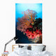 Soft Coral and Sea Wall Decal Design 2