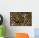 Goby Coral Australia Wall Decal Design 1