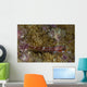 Goby Coral Australia Wall Decal Design 1