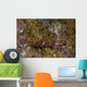 Goby Coral Australia Wall Decal Design 1