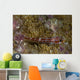 Goby Coral Australia Wall Decal Design 1