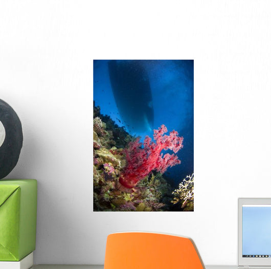 Red Soft Coral with Wall Decal